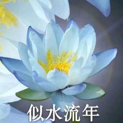 《伟大的渡江在靖江》新书发布暨弘扬“东线第一帆”精神研讨会在京举行